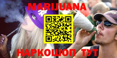 jwh Кингисепп