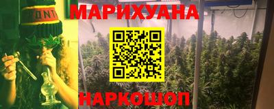 jwh Кингисепп