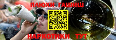 jwh Кингисепп