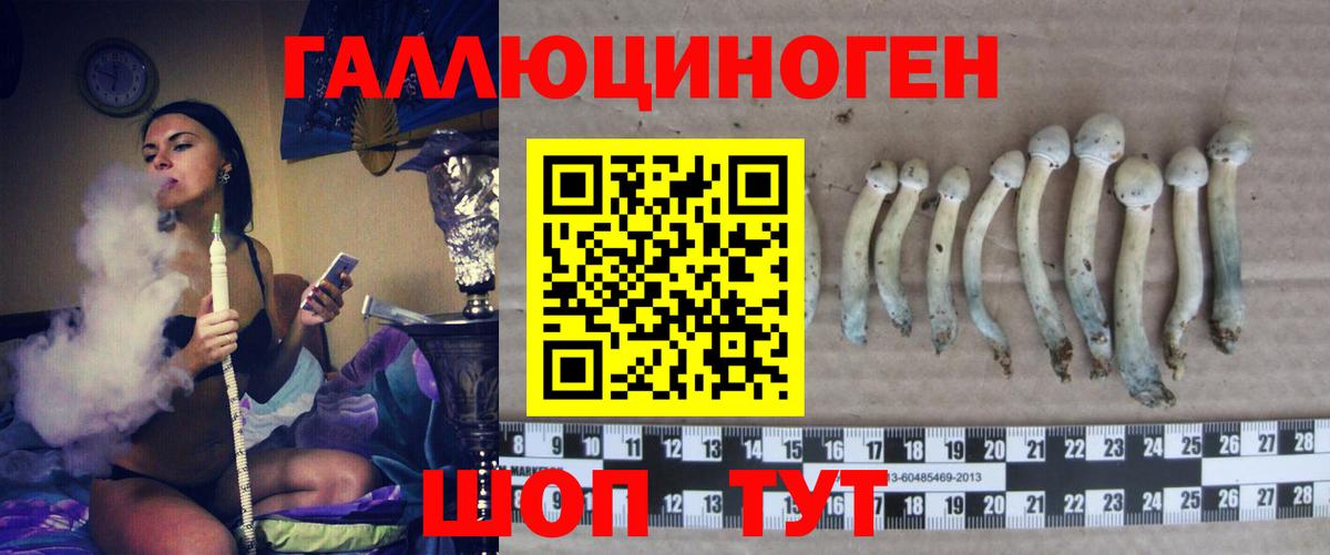 Галлюциногенные грибы мухоморы Королёв